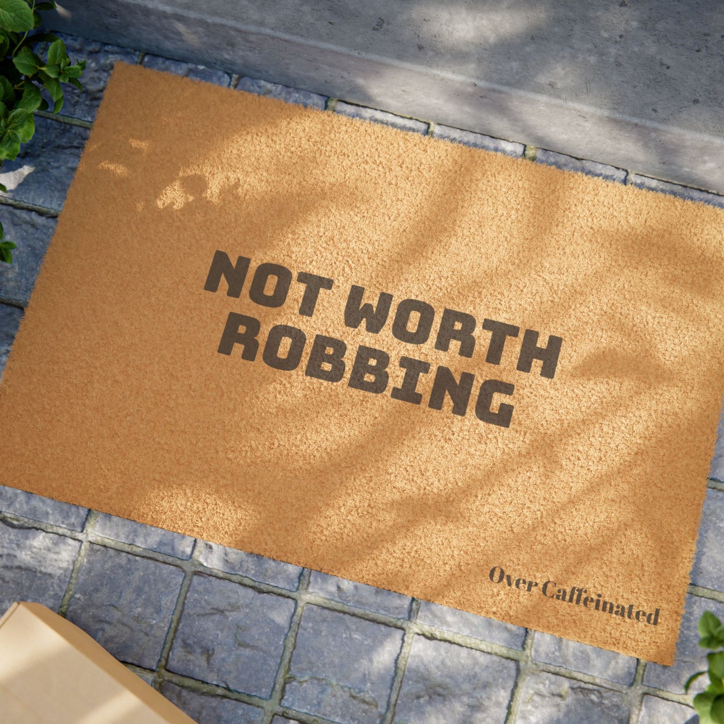 Not worth robbing Doormat